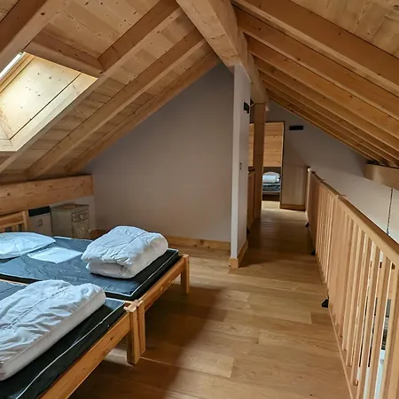 Grand Duplex Pour 10 Pers. A 250m Des Pistes - Animaux Admis - Fr-1-811-5