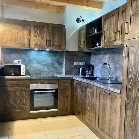 Spacieux Duplex Lumineux A 250m Des Pistes, Animaux Admis - Fr-1-811-5 Apartment Les Deux Alpes