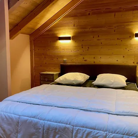 Grand Duplex Pour 10 Pers. à 250m Des Pistes - Animaux Admis - Fr-1-811-5 *