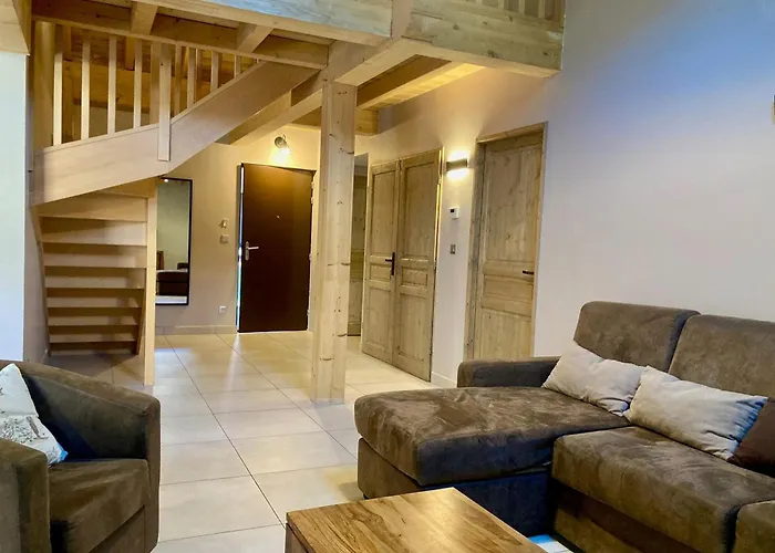 Grand Duplex Pour 10 Pers. A 250m Des Pistes - Animaux Admis - Fr-1-811-5