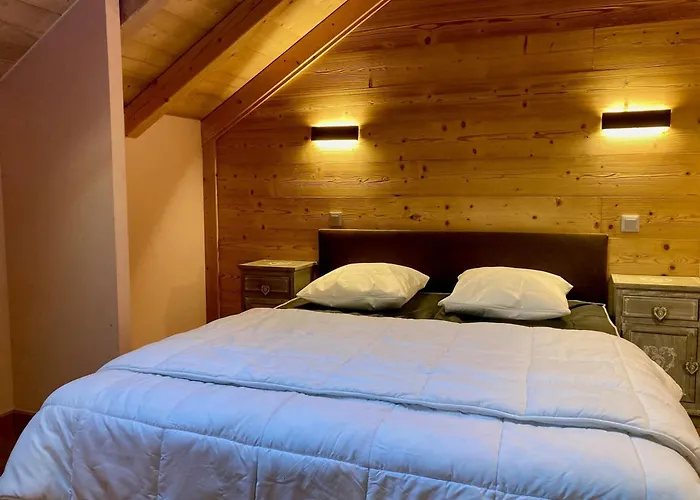 Grand Duplex Pour 10 Pers. A 250m Des Pistes - Animaux Admis - Fr-1-811-5 *