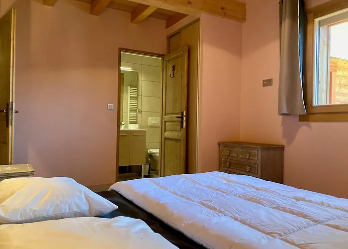 Grand Duplex Pour 10 Pers. A 250m Des Pistes - Animaux Admis - Fr-1-811-5 Ле дез Альп